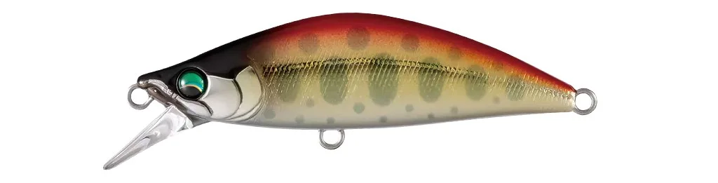 leurredelapeche2708267