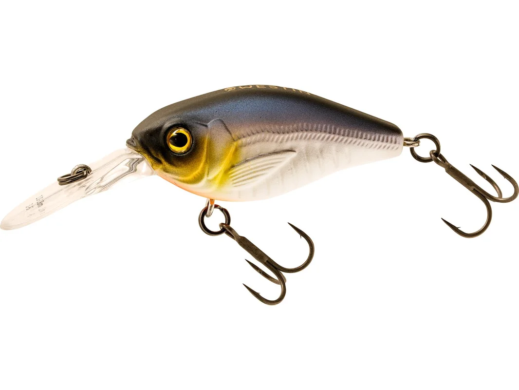 promopesca2615066