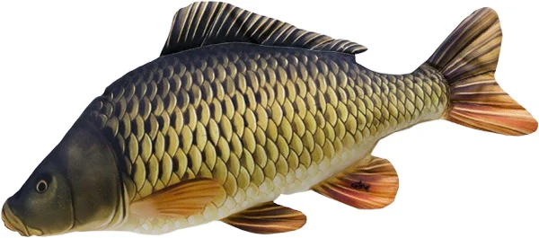promopesca2853029