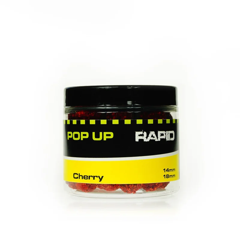 rockworld2660677