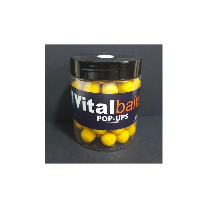 vitocarp2581736